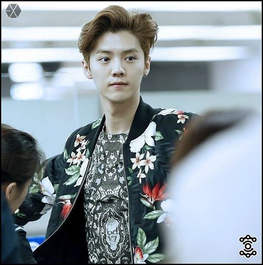 140407-08 LuHan @ Beijing & Incheon Airport.25 - exo - 140407-08 LuHan - Beijing - Incheon Airport