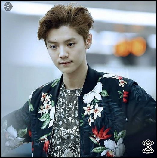 140407-08 LuHan @ Beijing & Incheon Airport.27