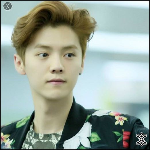 140407-08 LuHan @ Beijing & Incheon Airport.33