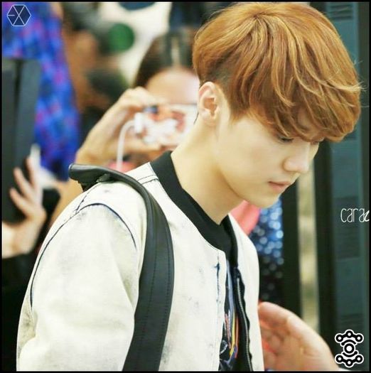 140410 LuHan @ Gimpo & Haneda Airport.01 - exo - 140407-08 LuHan - Beijing - Incheon Airport