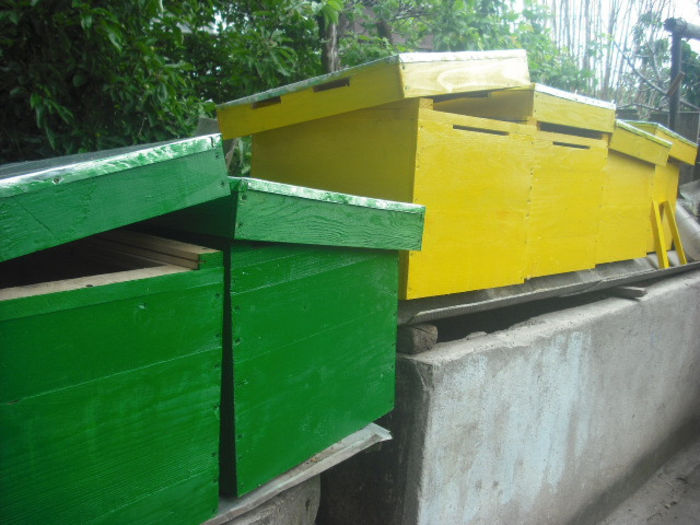 DSCF0240 - In timpul liber