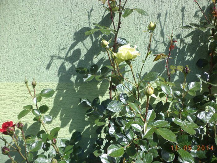 DSC02926
