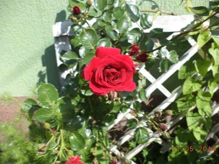 DSC02936 - Mai 2014