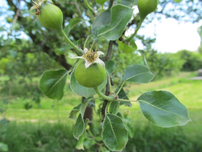  - Diverse 1 - Plimbari