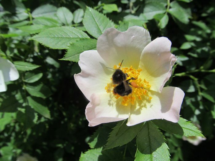  - Diverse 1 - Plimbari