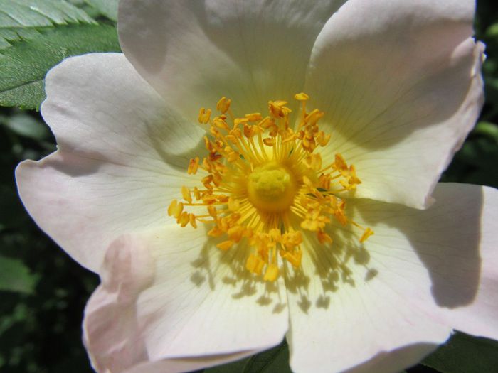  - Diverse 1 - Plimbari