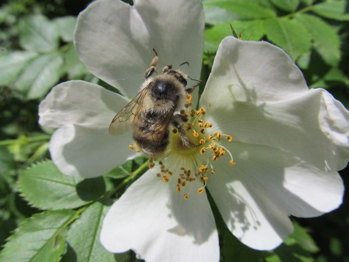  - Diverse 1 - Plimbari