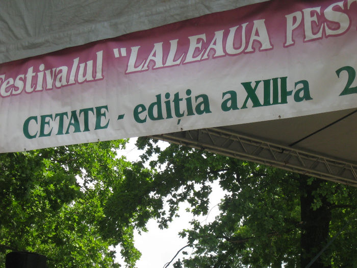 Copy (2) of festival si traditie 028 - Festivalul Laleaua Pestrita