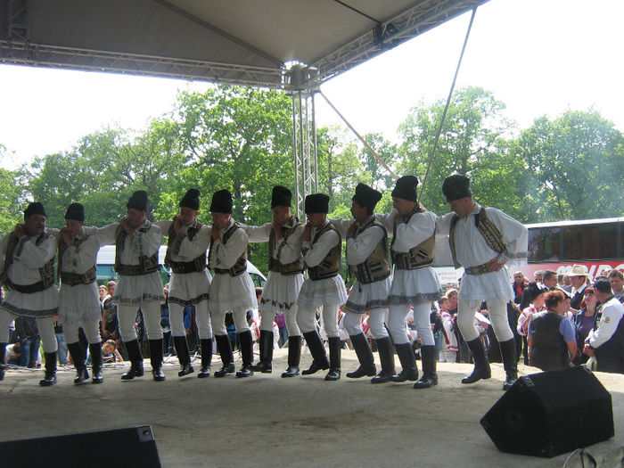 Copy (2) of festival si traditie 029 - Traditie