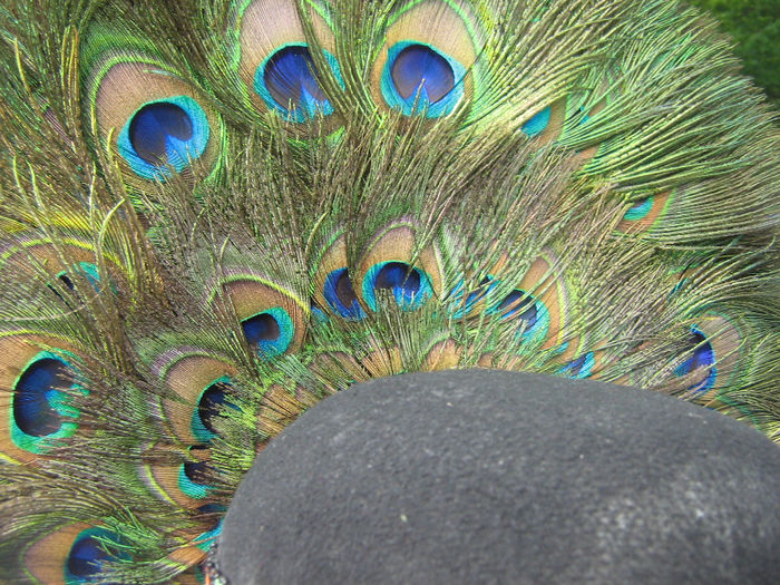 Copy of festival si traditie 035 - costume populare