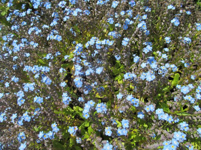 nu ma uita - Diverse 1 - Plimbari