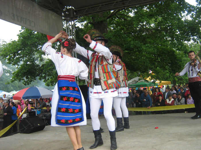 festival si traditie 004 - Festivalul Laleaua Pestrita