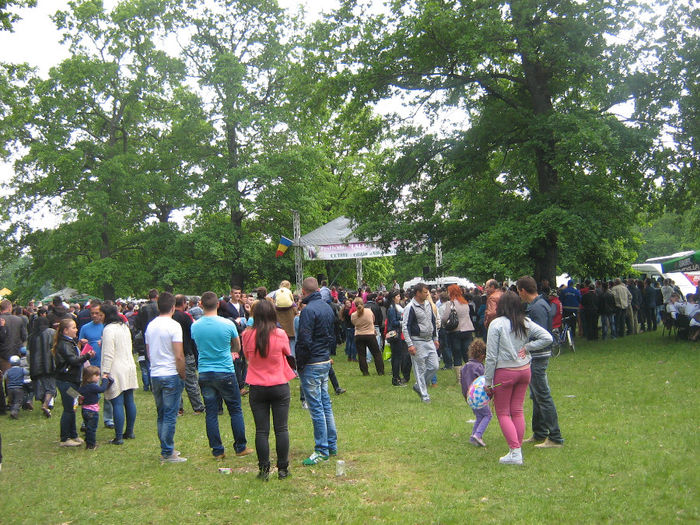 festival si traditie 025 - Festivalul Laleaua Pestrita