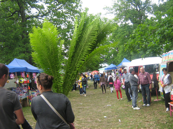 festival si traditie 026 - Traditie