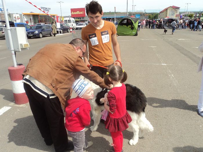 DSC01782 - expo suceava 2014