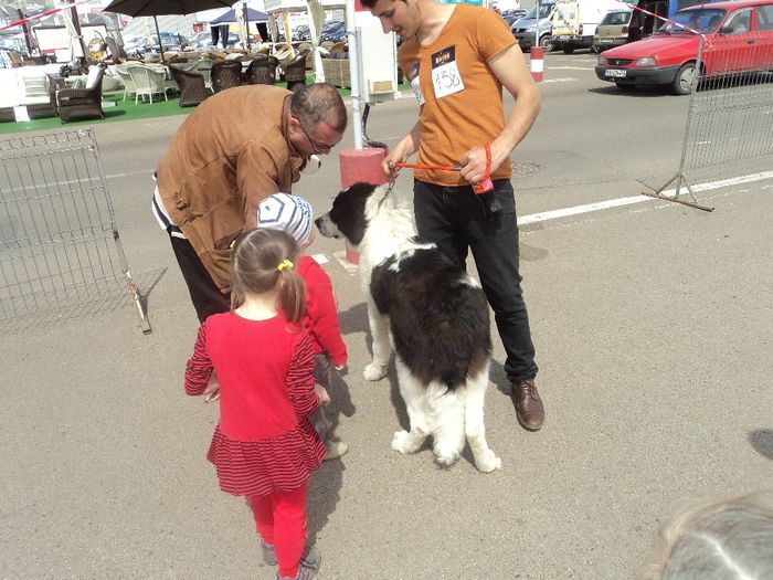 DSC01783 - expo suceava 2014