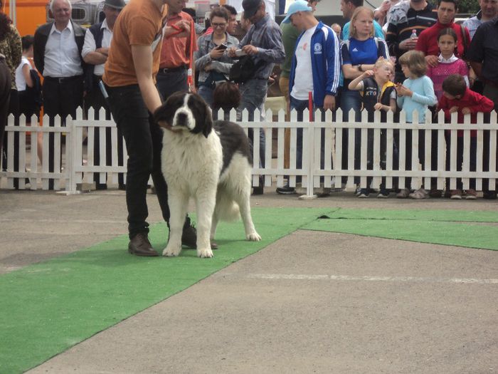 DSC01798 - expo suceava 2014