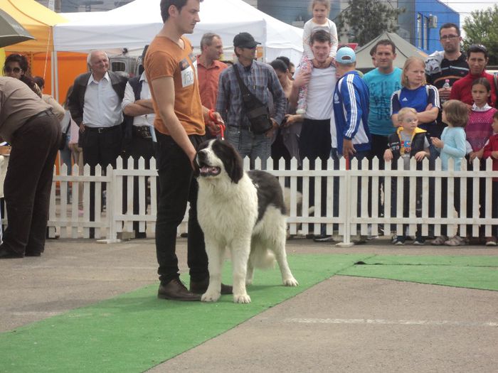 DSC01800 - expo suceava 2014