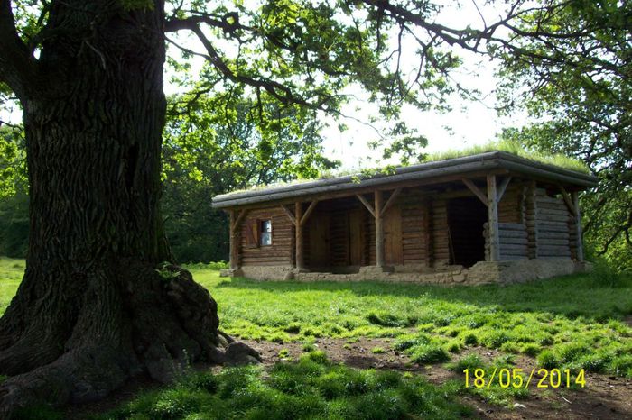 100_5437 astazi cabana este un adapost pentru ciobanul de pe rezervatie.. - SIGHISOARA REZERVATIA NATURALA  PLATOUL BREITE