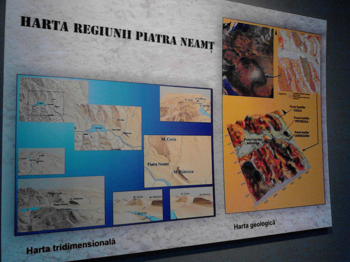 IMG_20140518_121802 - Muzeul din Tg Neamt