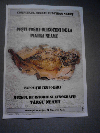 IMG_20140518_121822 - Muzeul din Tg Neamt