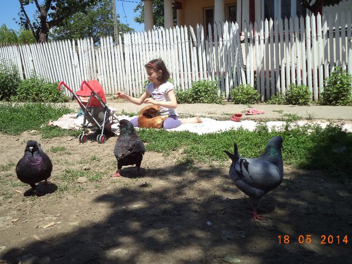 DSC01162 - MATCA KINGI 2015