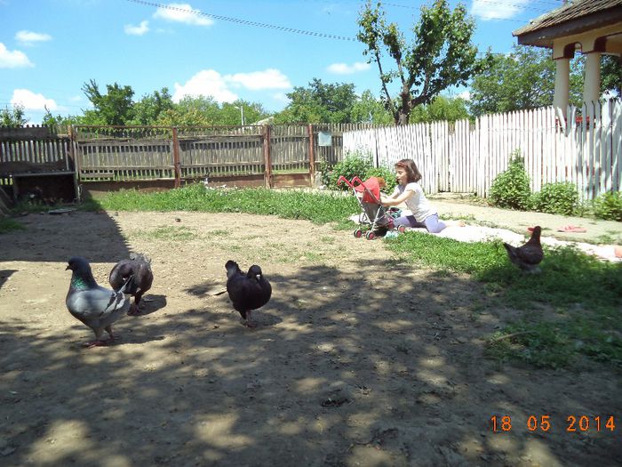 DSC01164 - MATCA KINGI 2015