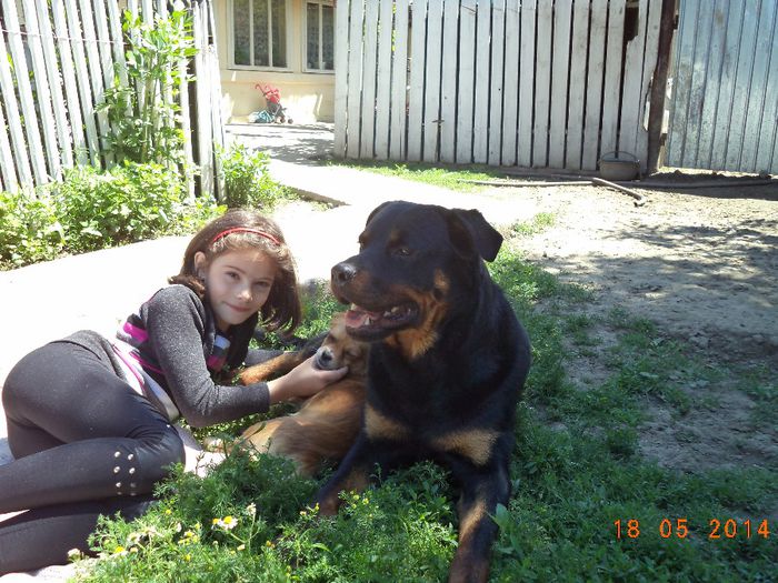 1 AN SI O LUNA - FAMILIA MEA