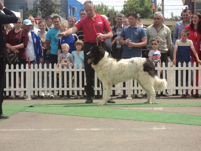 DSC01819 - expo suceava 2014