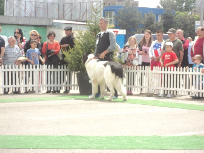 DSC01829 - expo suceava 2014