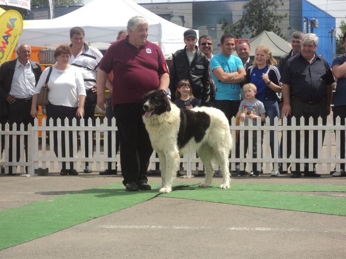 DSC01831 - expo suceava 2014