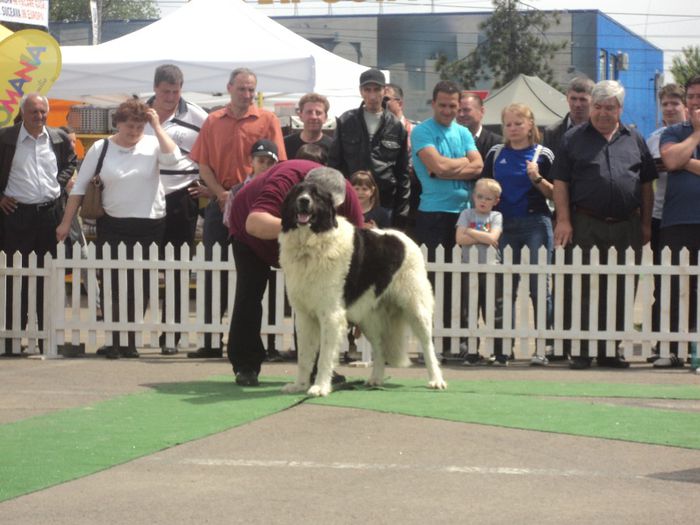 DSC01832 - expo suceava 2014