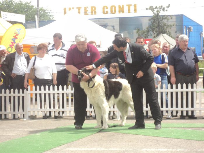 DSC01834 - expo suceava 2014