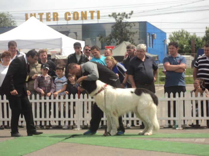 DSC01835 - expo suceava 2014