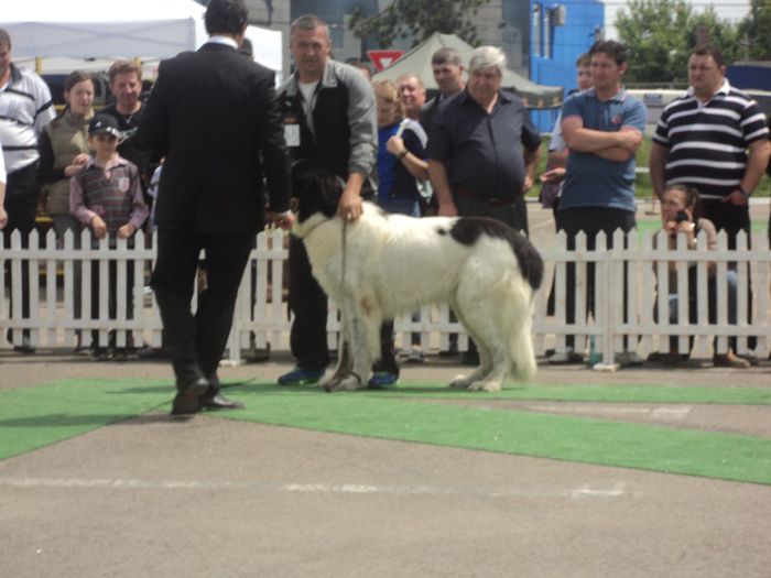 DSC01836 - expo suceava 2014