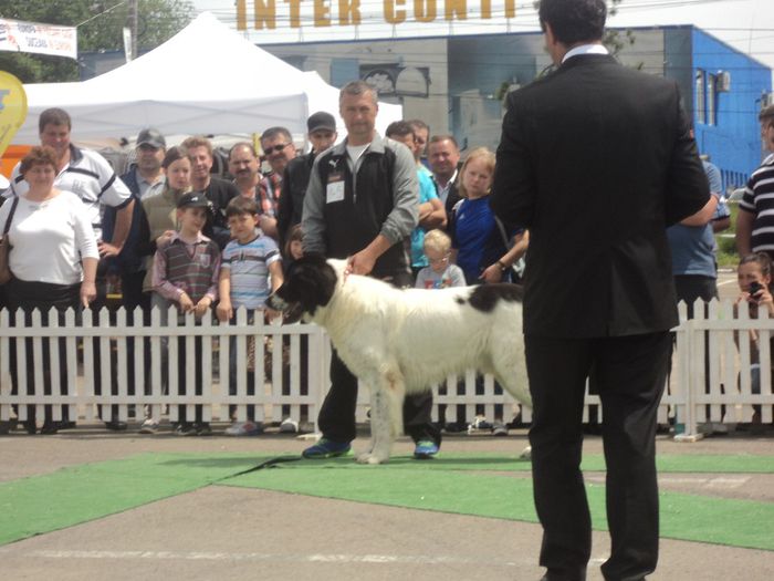 DSC01839 - expo suceava 2014