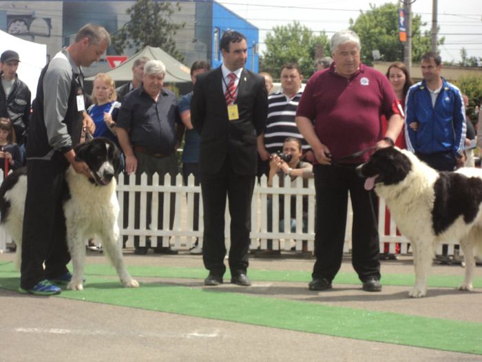 DSC01844 - expo suceava 2014