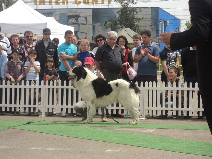 DSC01849 - expo suceava 2014