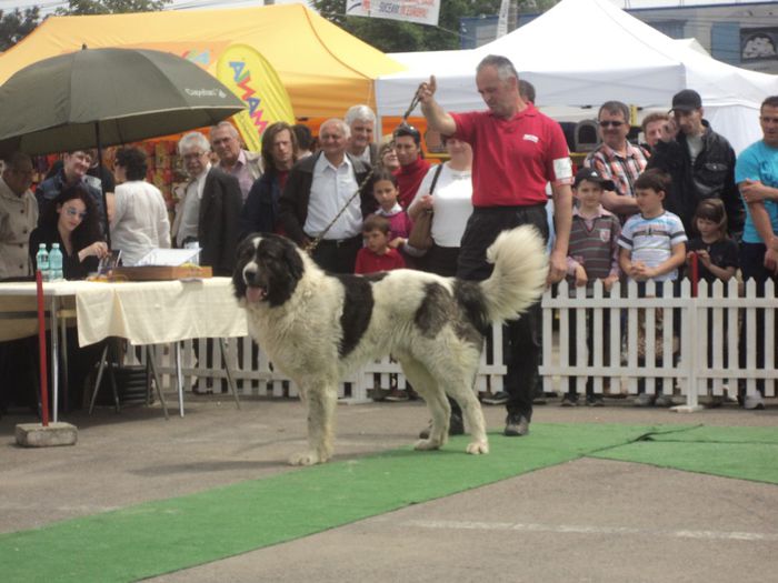 DSC01854 - expo suceava 2014