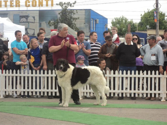 DSC01862 - expo suceava 2014