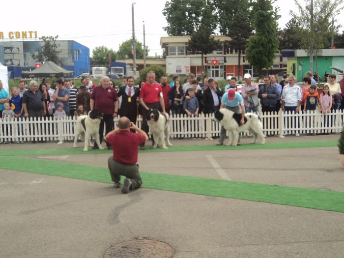 DSC01865 - expo suceava 2014