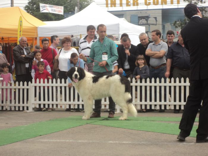 DSC01869 - expo suceava 2014