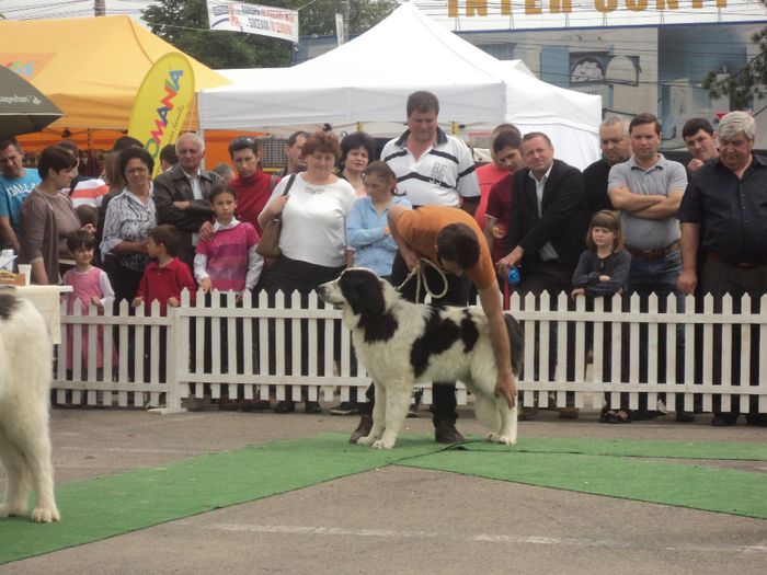 DSC01874 - expo suceava 2014