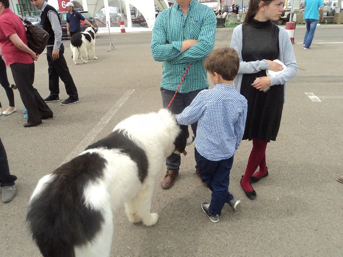 DSC01888 - expo suceava 2014