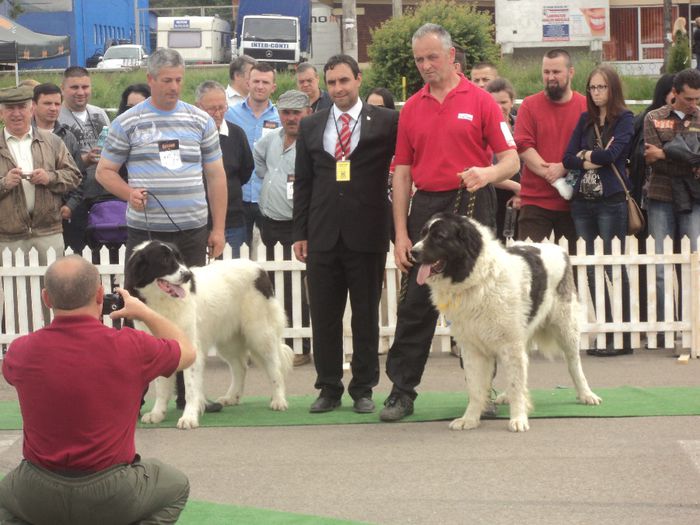 DSC01897 - expo suceava 2014