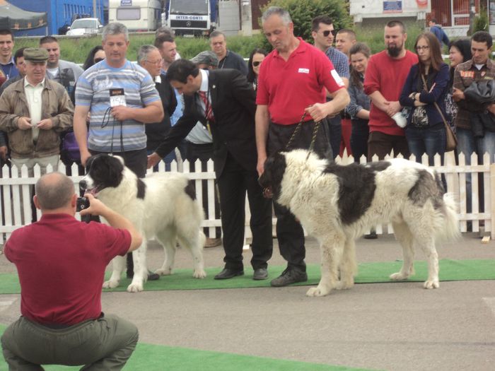 DSC01898 - expo suceava 2014