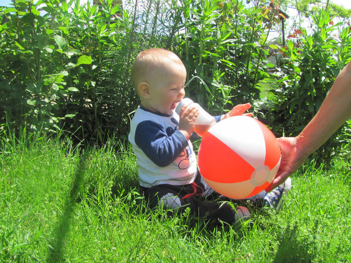 IMG_0609 - 18 mai 2014