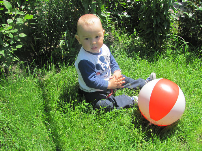 IMG_0611 - 18 mai 2014