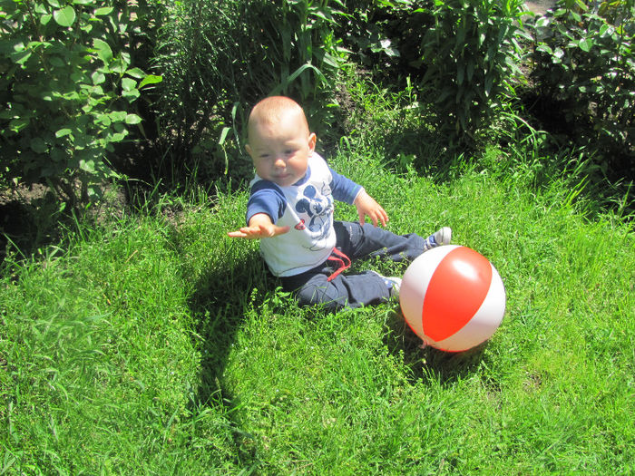 IMG_0612 - 18 mai 2014