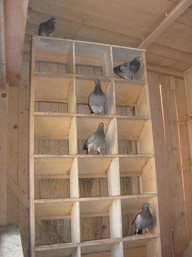 IMG_0619 - 18 mai 2014